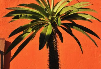 Scroll Image (2) Scroll Image (2)